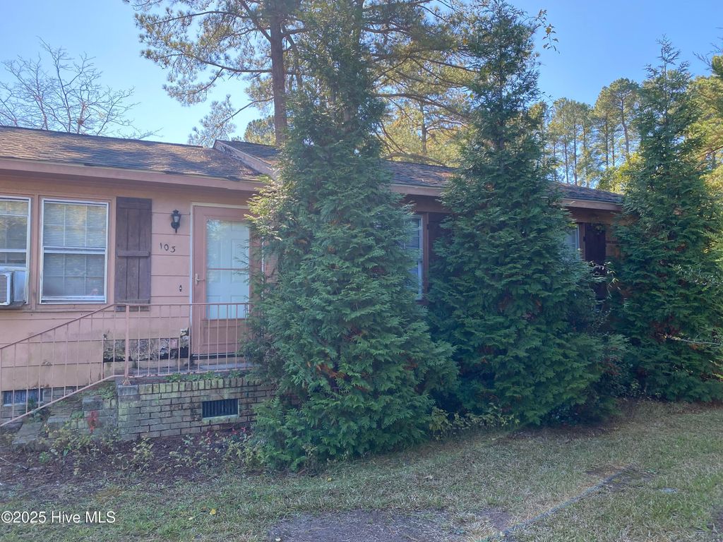 Photo of 103 Panticough Drive, Washington, NC 27889 (MLS # 100538859)