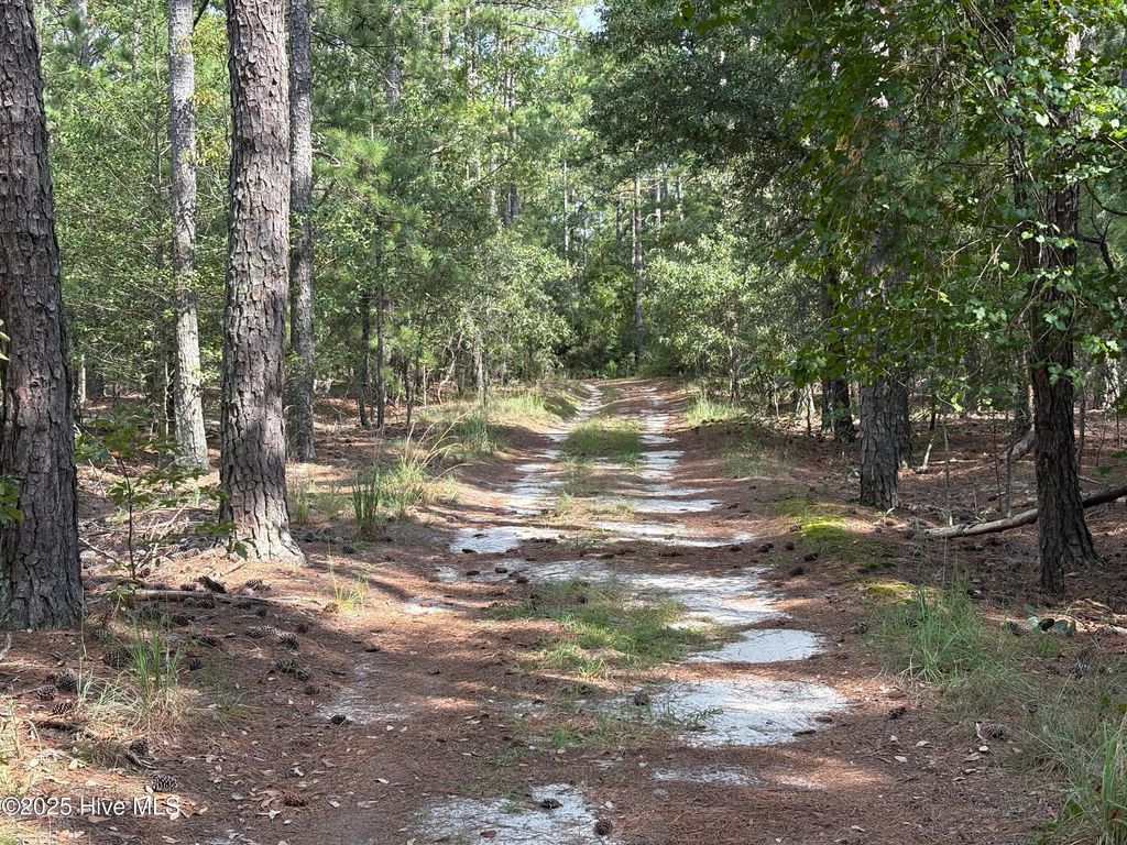 Photo of Tbd Mckenzie Lane, Aberdeen, NC 28315 (MLS # 100525943)
