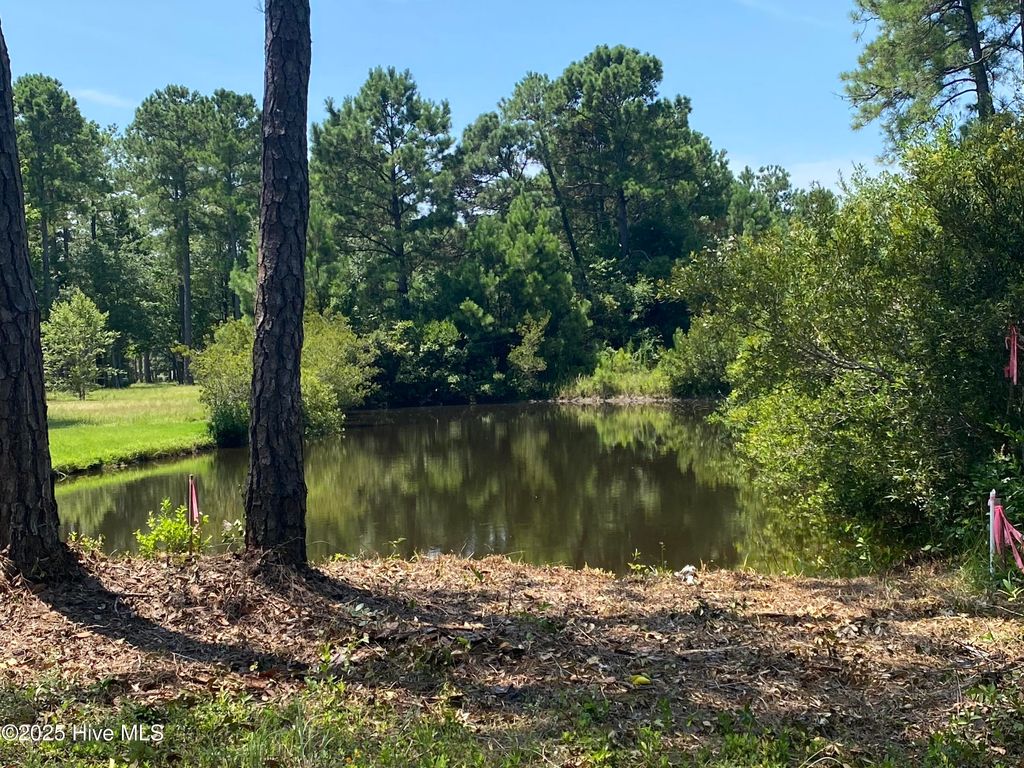 Photo of 6649 Summerhill Glen SW, Ocean Isle Beach, NC 28469 (MLS # 100541686)