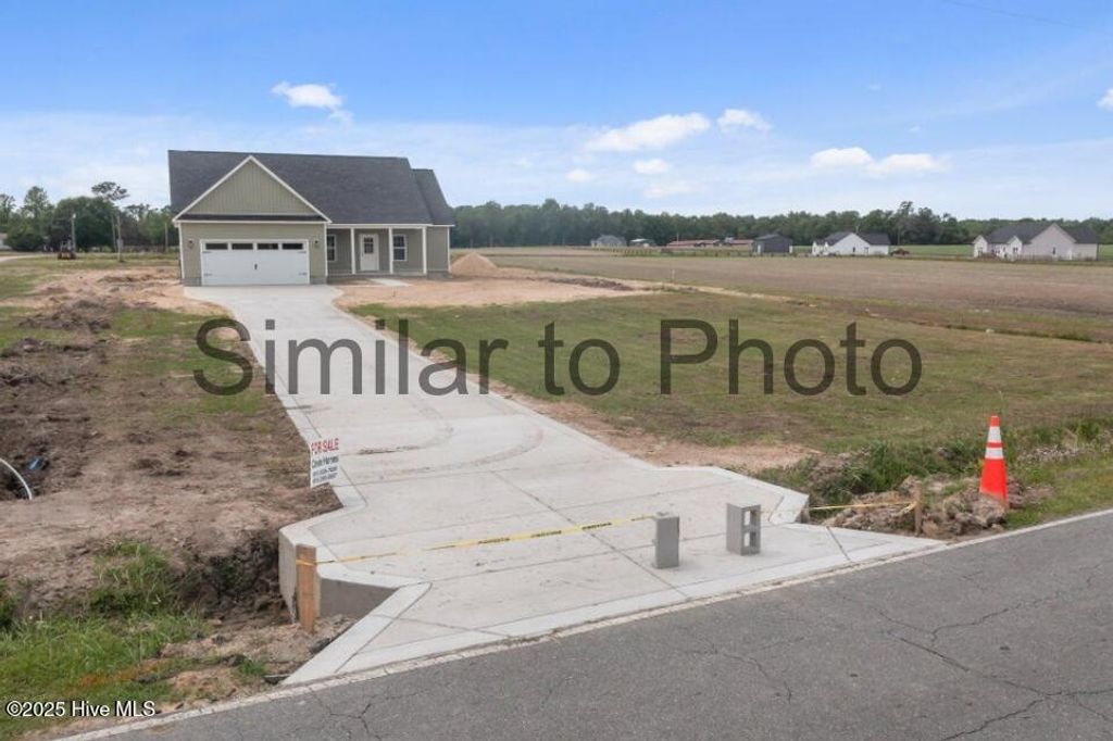 Photo of 128 Ida Whaley Drive, Beulaville, NC 28518 (MLS # 100539153)