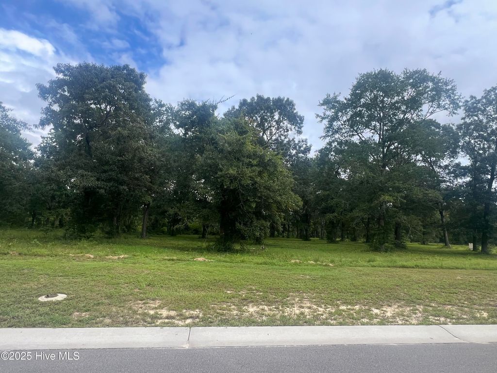 Photo of 9136 Fallen Pear Lane NE, Leland, NC 28451 (MLS # 100422724)