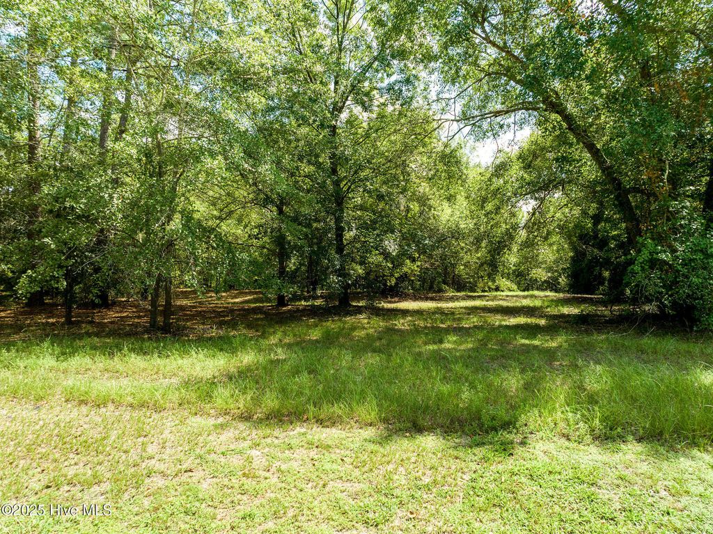 Photo of 211 River Ridge Rd Drive, Wallace, NC 28466 (MLS # 100494375)