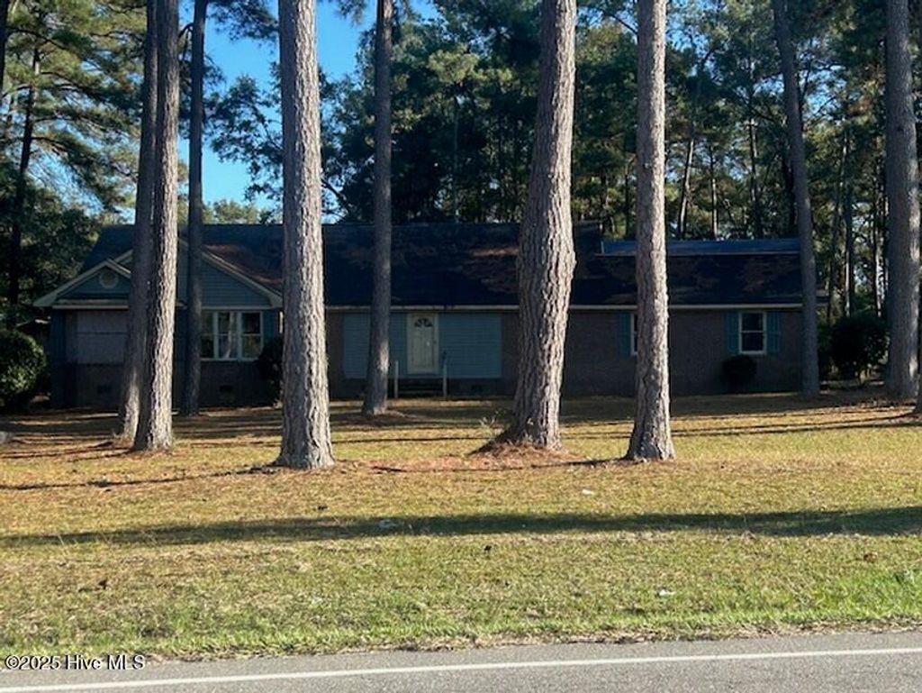 Photo of 747 Butler Island Road, Roseboro, NC 28382 (MLS # 100537798)