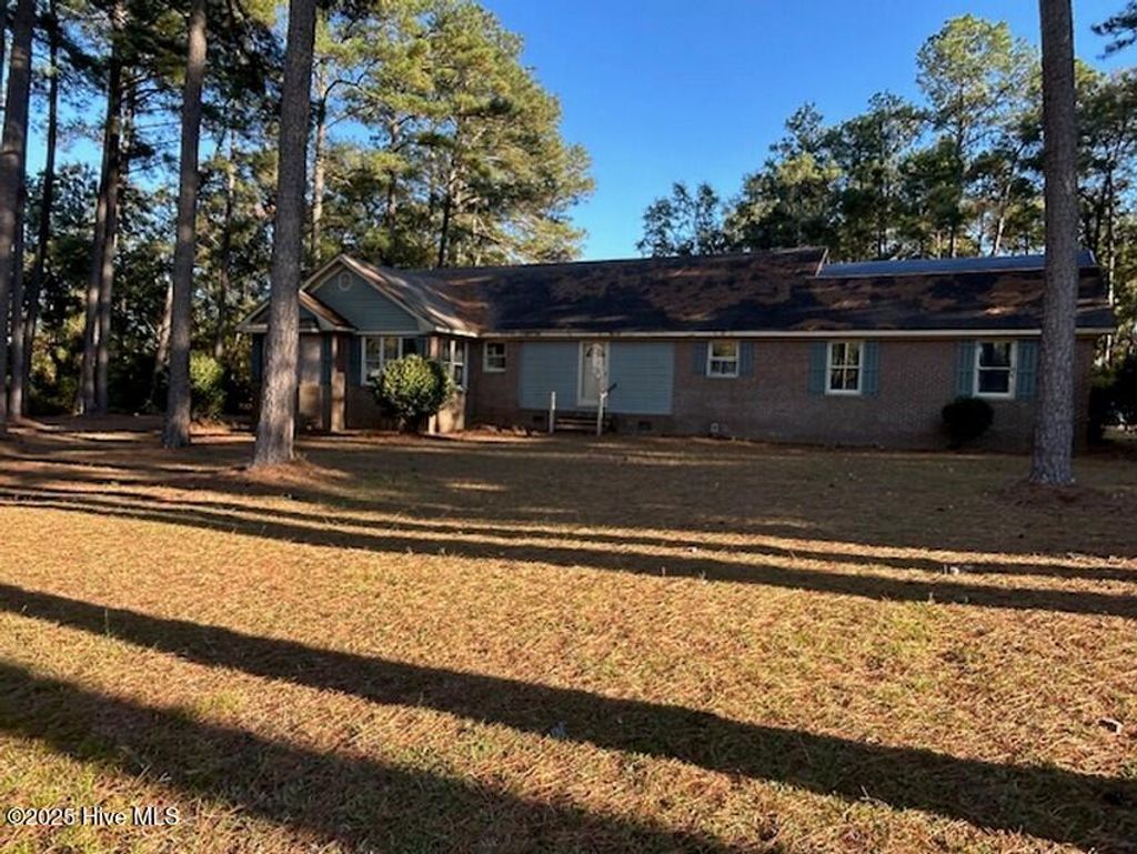 Photo of 747 Butler Island Road, Roseboro, NC 28382 (MLS # 100537798)