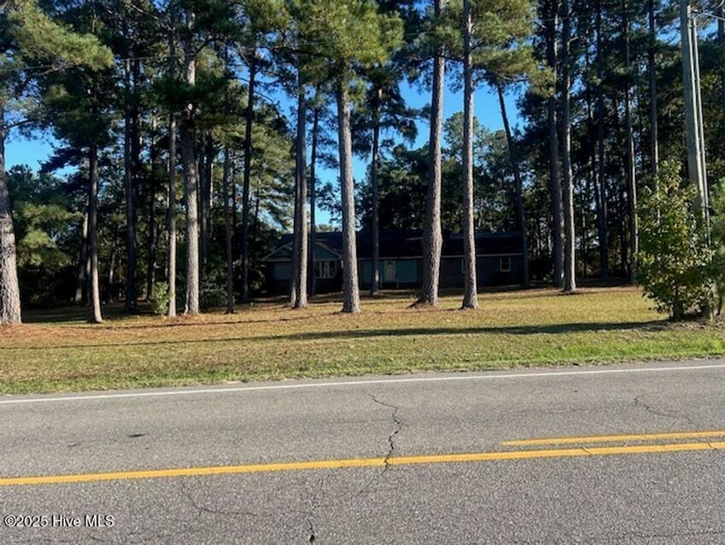 Photo of 747 Butler Island Road, Roseboro, NC 28382 (MLS # 100537798)