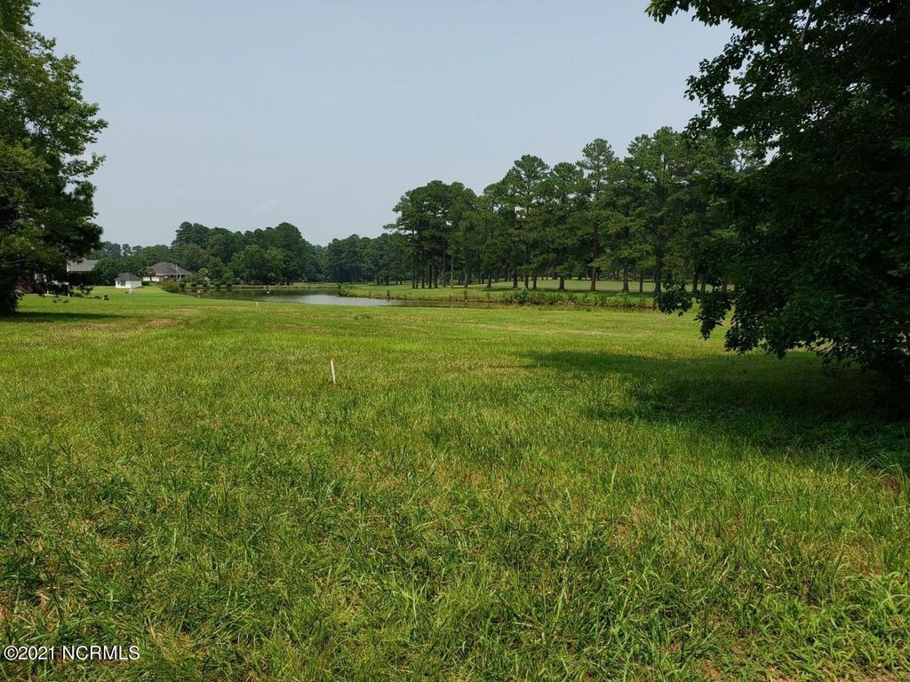 Photo of 58 Royal Lytham Drive, Whiteville, NC 28472 (MLS # 100483121)