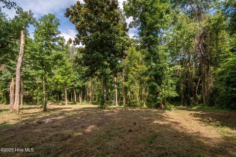 Tiny photo for 2 Nc 133 Highway, Rocky Point, NC 28457 (MLS # 100524643)