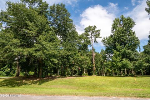 Tiny photo for 2 Nc 133 Highway, Rocky Point, NC 28457 (MLS # 100524643)