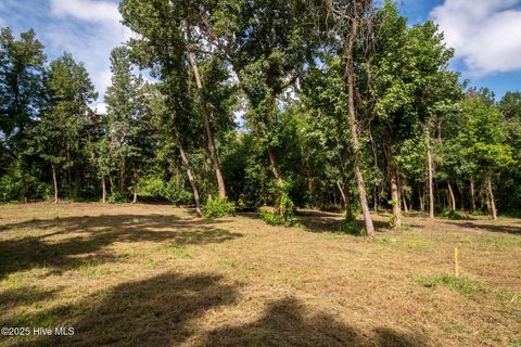Tiny photo for 2 Nc 133 Highway, Rocky Point, NC 28457 (MLS # 100524643)