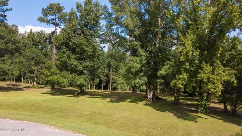 Tiny photo for 2 Nc 133 Highway, Rocky Point, NC 28457 (MLS # 100524643)
