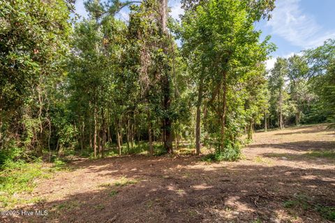 Tiny photo for 2 Nc 133 Highway, Rocky Point, NC 28457 (MLS # 100524643)