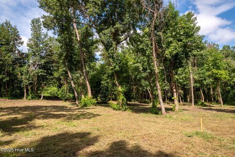 Tiny photo for 2 Nc 133 Highway, Rocky Point, NC 28457 (MLS # 100524643)