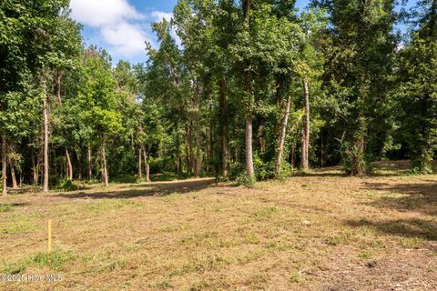 Tiny photo for 2 Nc 133 Highway, Rocky Point, NC 28457 (MLS # 100524643)