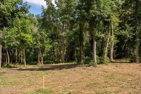 Tiny photo for 2 Nc 133 Highway, Rocky Point, NC 28457 (MLS # 100524643)
