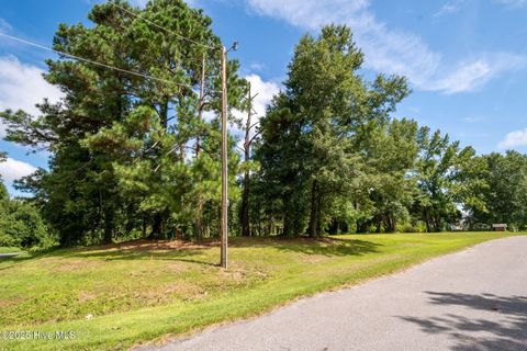 Tiny photo for 2 Nc 133 Highway, Rocky Point, NC 28457 (MLS # 100524643)