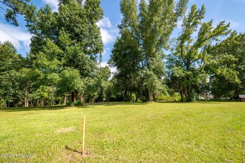 Tiny photo for 2 Nc 133 Highway, Rocky Point, NC 28457 (MLS # 100524643)