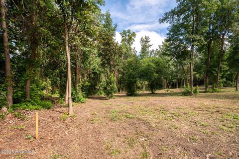 Tiny photo for 2 Nc 133 Highway, Rocky Point, NC 28457 (MLS # 100524643)