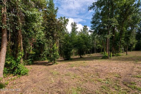 Tiny photo for 2 Nc 133 Highway, Rocky Point, NC 28457 (MLS # 100524643)