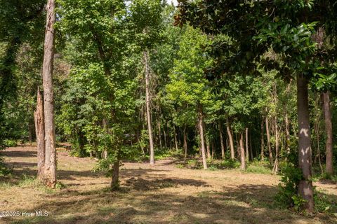 Tiny photo for 2 Nc 133 Highway, Rocky Point, NC 28457 (MLS # 100524643)