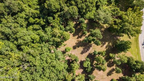 Tiny photo for 2 Nc 133 Highway, Rocky Point, NC 28457 (MLS # 100524643)