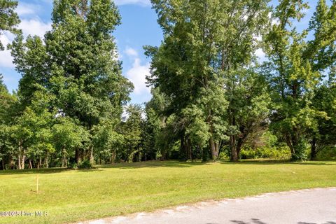 Tiny photo for 2 Nc 133 Highway, Rocky Point, NC 28457 (MLS # 100524643)