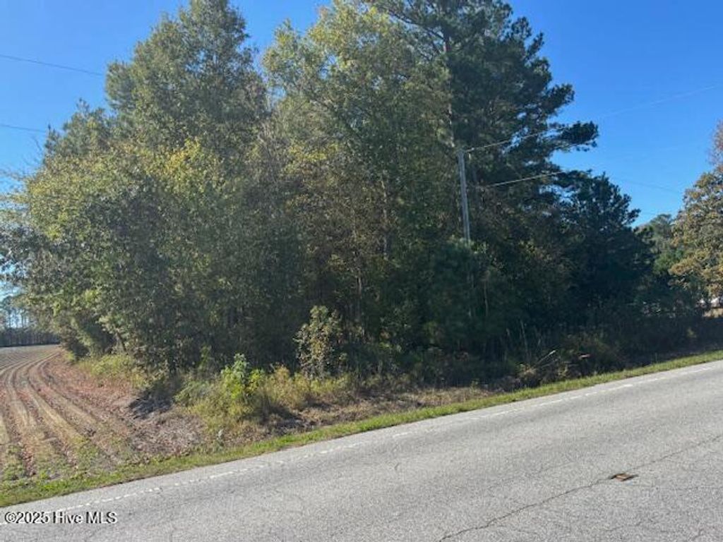 Photo of 0 Nc 30, Stokes, NC 27884 (MLS # 100537383)