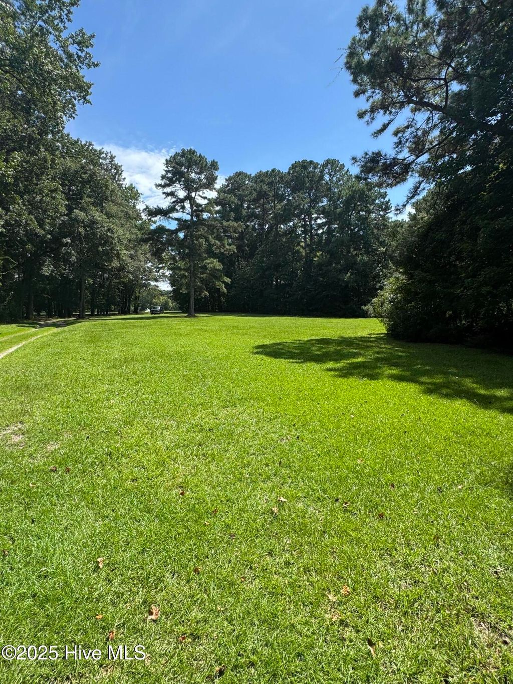 Photo of 2 Branchwood Drive, Kinston, NC 28504 (MLS # 100523898)