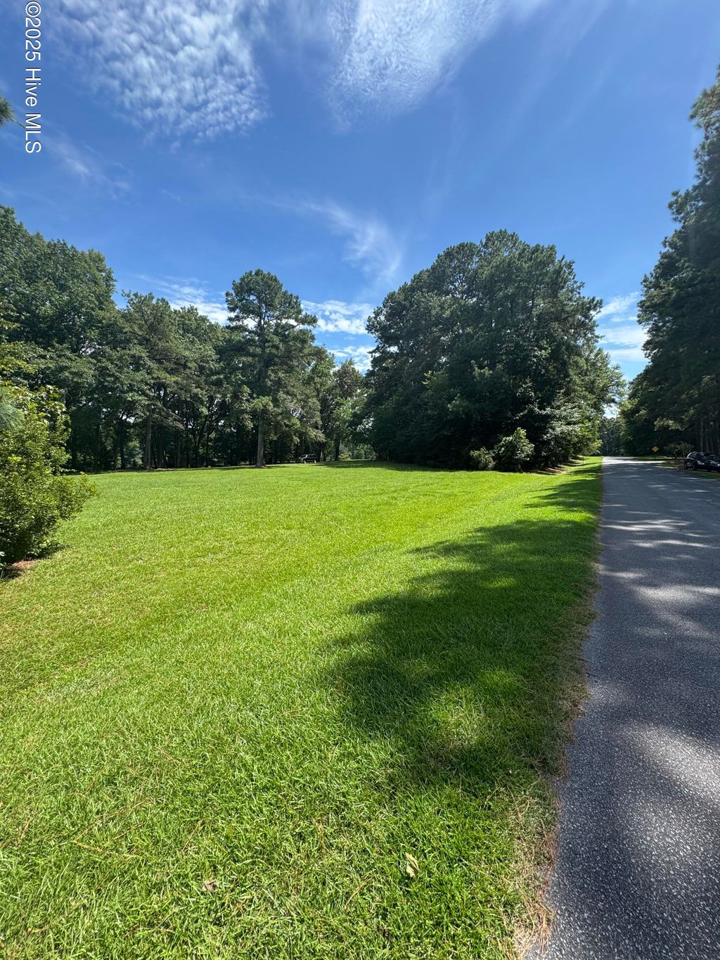 Photo of 2 Branchwood Drive, Kinston, NC 28504 (MLS # 100523898)