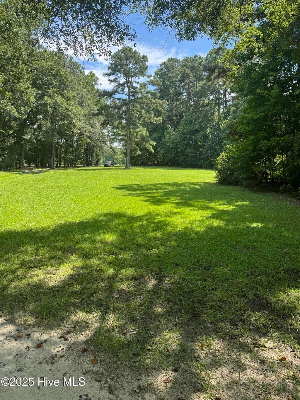 Photo of 2 Branchwood Drive, Kinston, NC 28504 (MLS # 100523898)