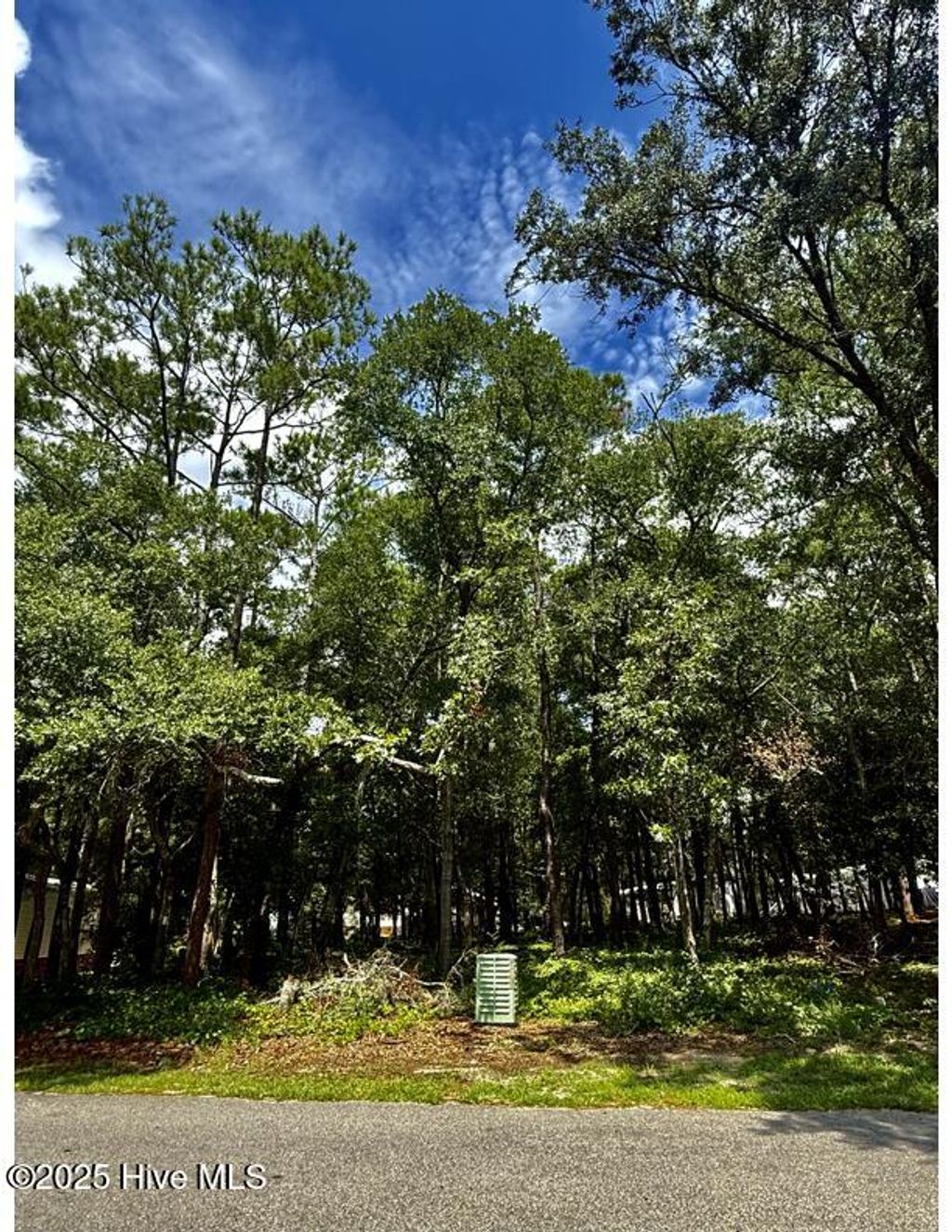 Photo of 710 Blue Sail Drive SE, Bolivia, NC 28422 (MLS # 100525527)
