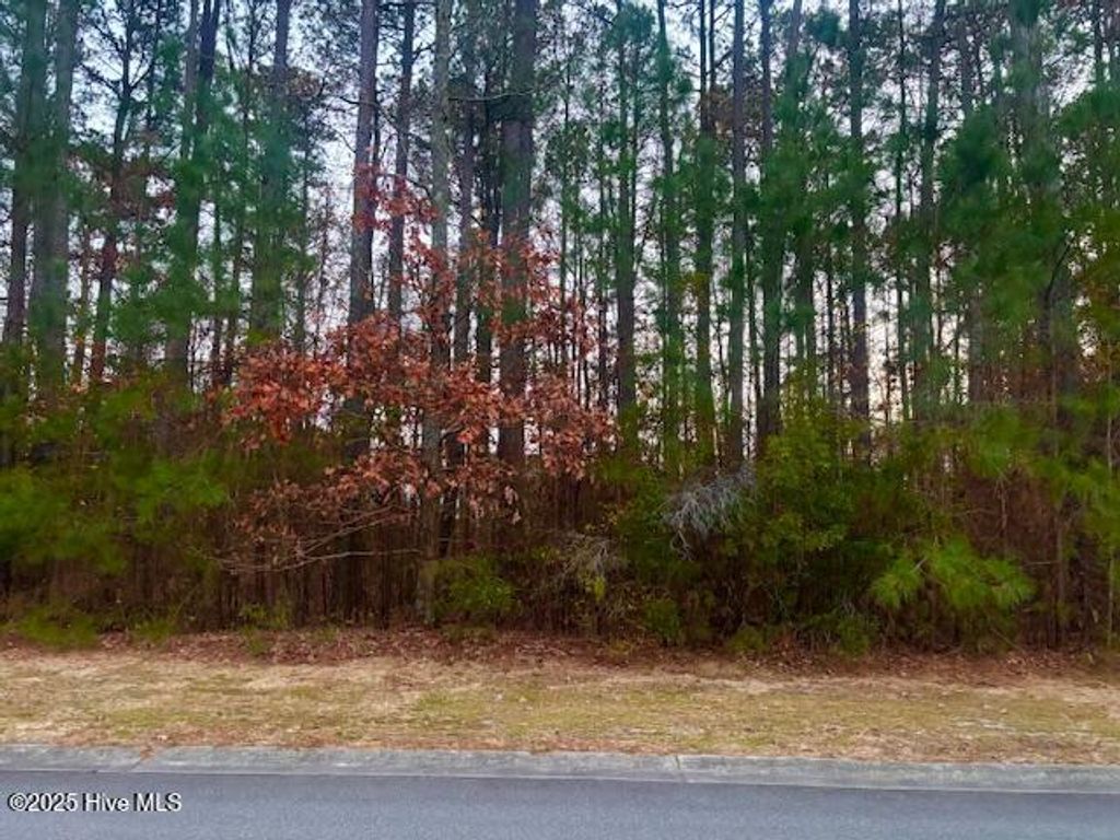 Photo of 3094 Belmont Lake Drive, Rocky Mount, NC 27804 (MLS # 100542684)