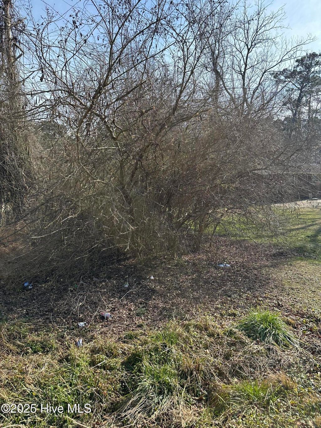 Photo of 186 Verona Road, Jacksonville, NC 28540 (MLS # 100491125)