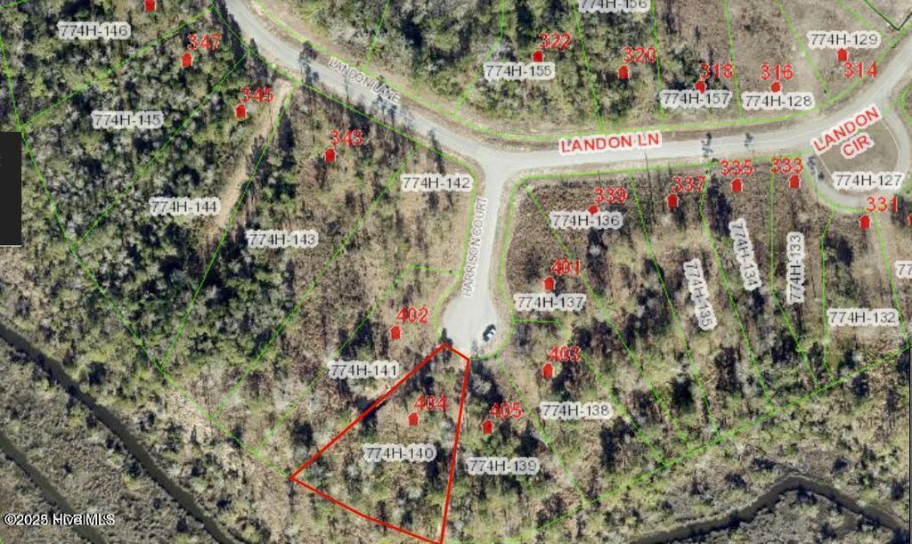 Photo of 404 Harrison Court, Sneads Ferry, NC 28460 (MLS # 100526395)