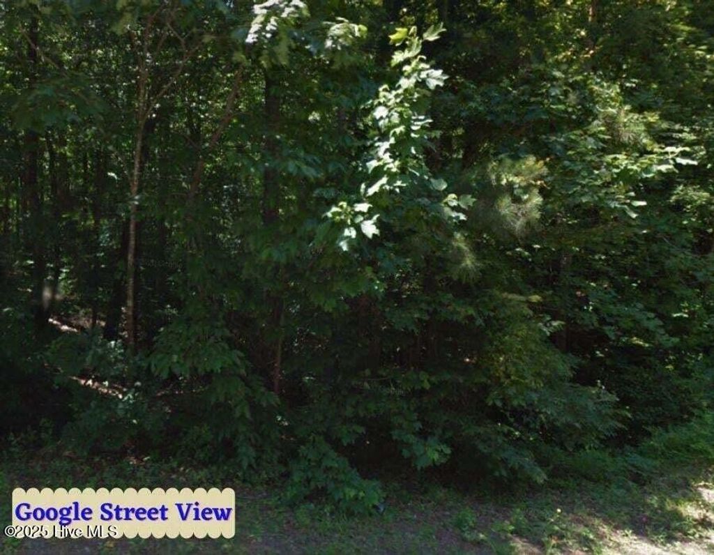 Photo of Tbd Country Canyon Drive, Cordova, NC 28330 (MLS # 100542977)