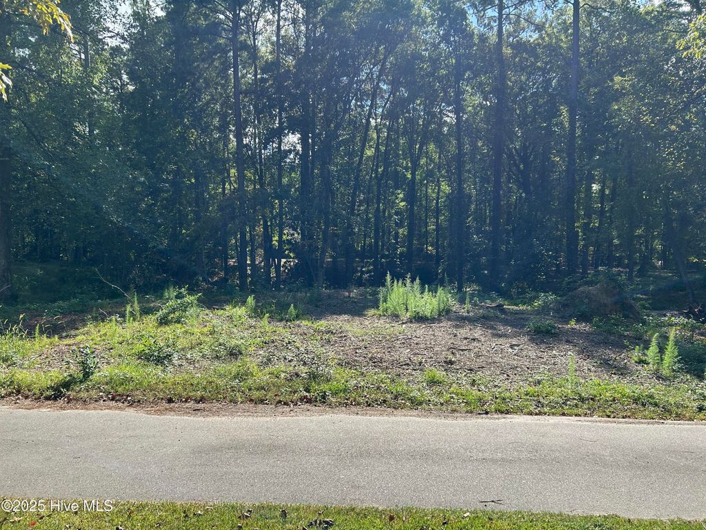 Photo of 101 Hillside Drive, Washington, NC 27889 (MLS # 100517648)