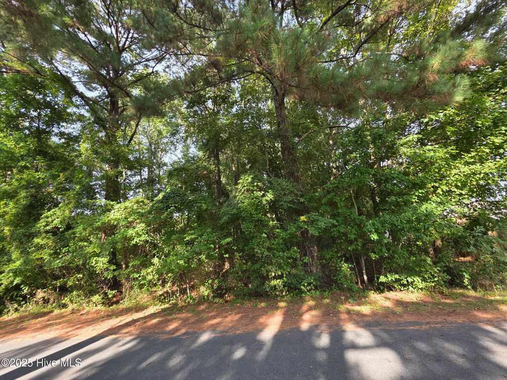 Photo of 0 Niblick Road, Grifton, NC 28530 (MLS # 100530211)
