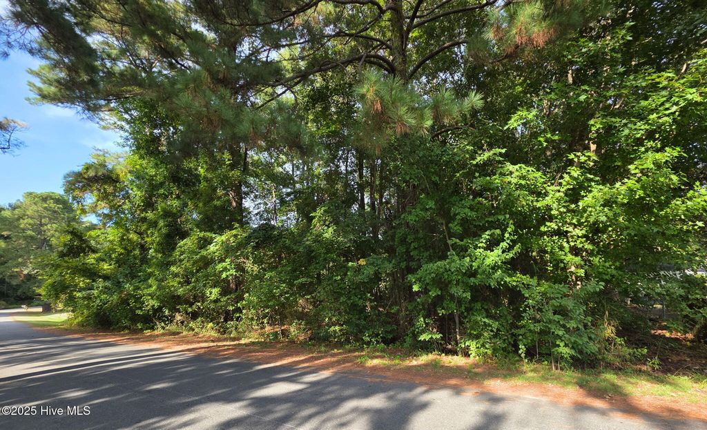 Photo of 0 Niblick Road, Grifton, NC 28530 (MLS # 100530211)