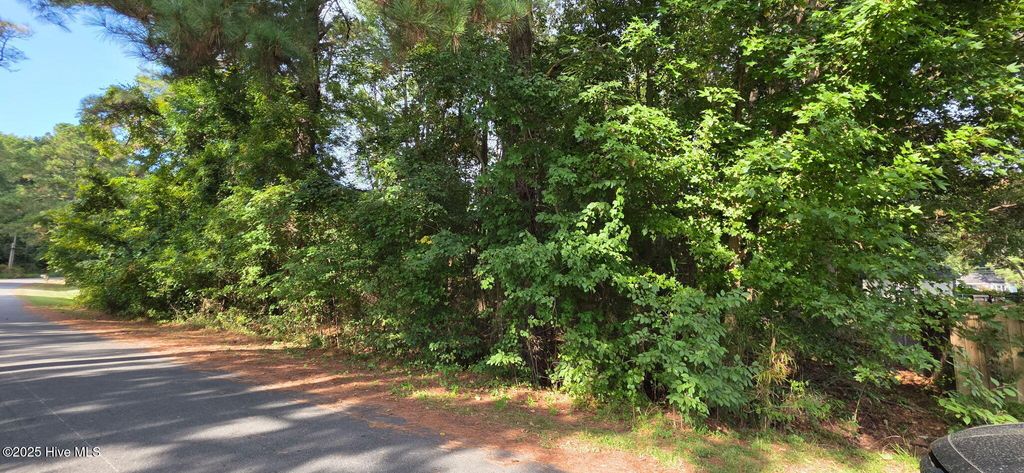 Photo of 0 Niblick Road, Grifton, NC 28530 (MLS # 100530211)