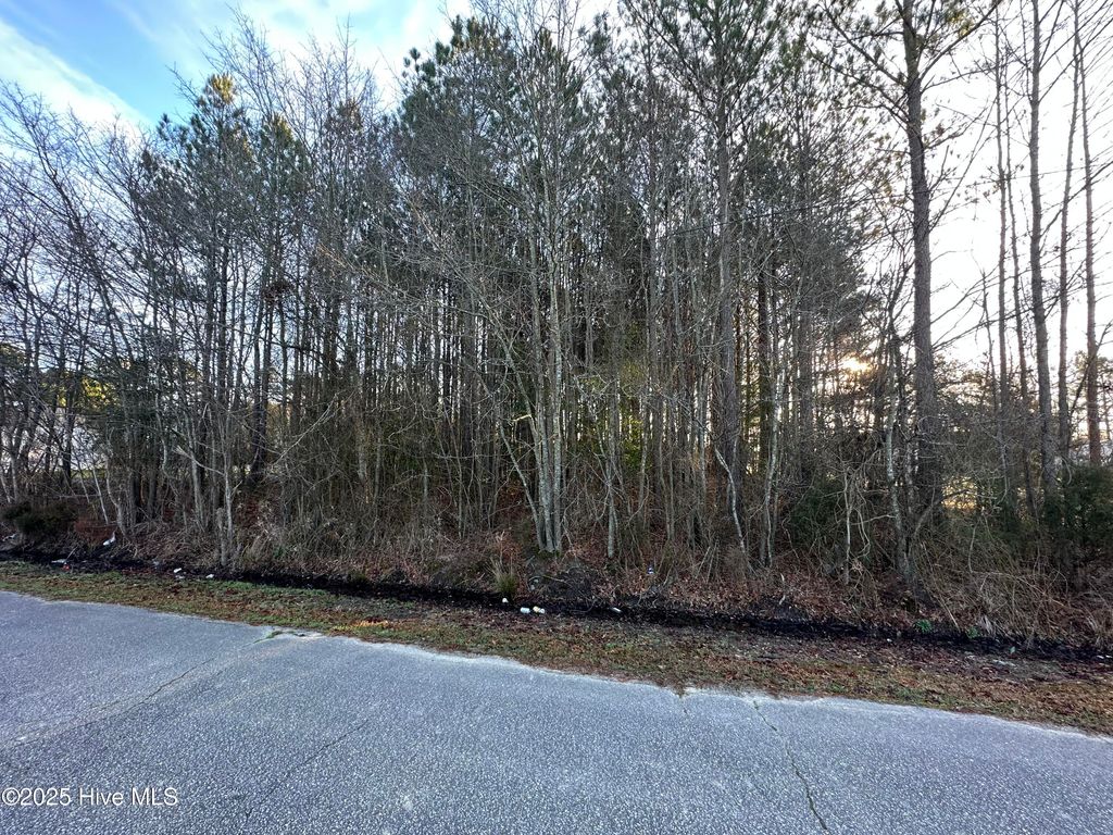 Photo of Tbd Pine Street, Conway, NC 27820 (MLS # 100540644)