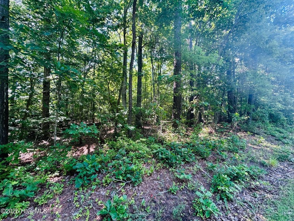 Photo of 56 Holly Street, Hertford, NC 27944 (MLS # 100517581)