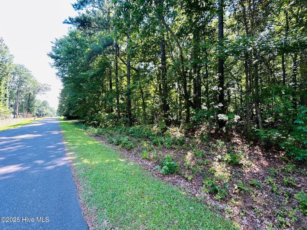 Photo of 56 Holly Street, Hertford, NC 27944 (MLS # 100517581)