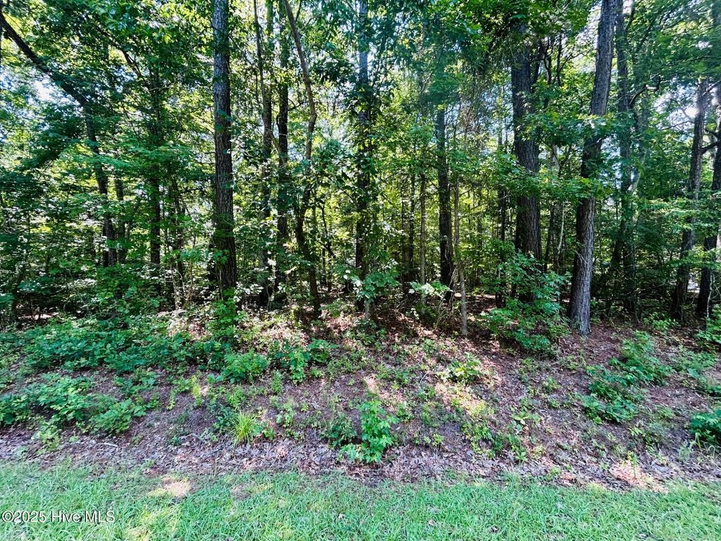 Photo of 56 Holly Street, Hertford, NC 27944 (MLS # 100517581)
