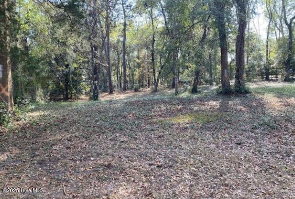 Photo of 9131 Forest Drive SW, Sunset Beach, NC 28468 (MLS # 100534402)