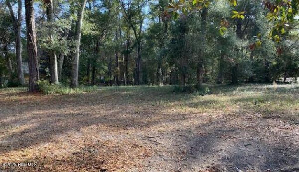 Photo of 9131 Forest Drive SW, Sunset Beach, NC 28468 (MLS # 100534402)