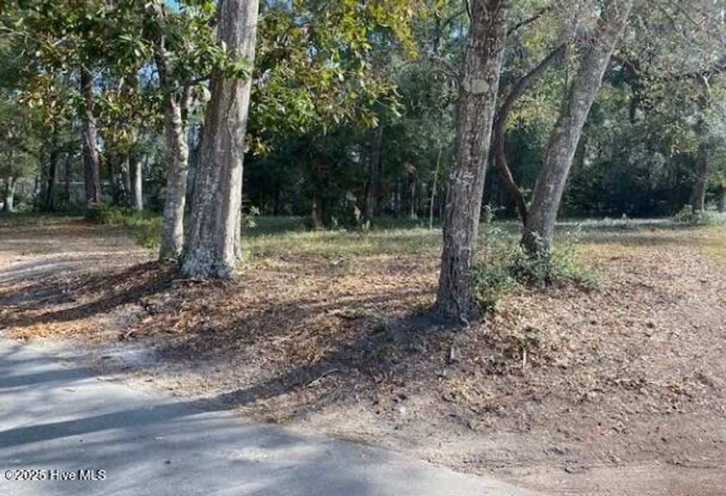 Photo of 9131 Forest Drive SW, Sunset Beach, NC 28468 (MLS # 100534402)