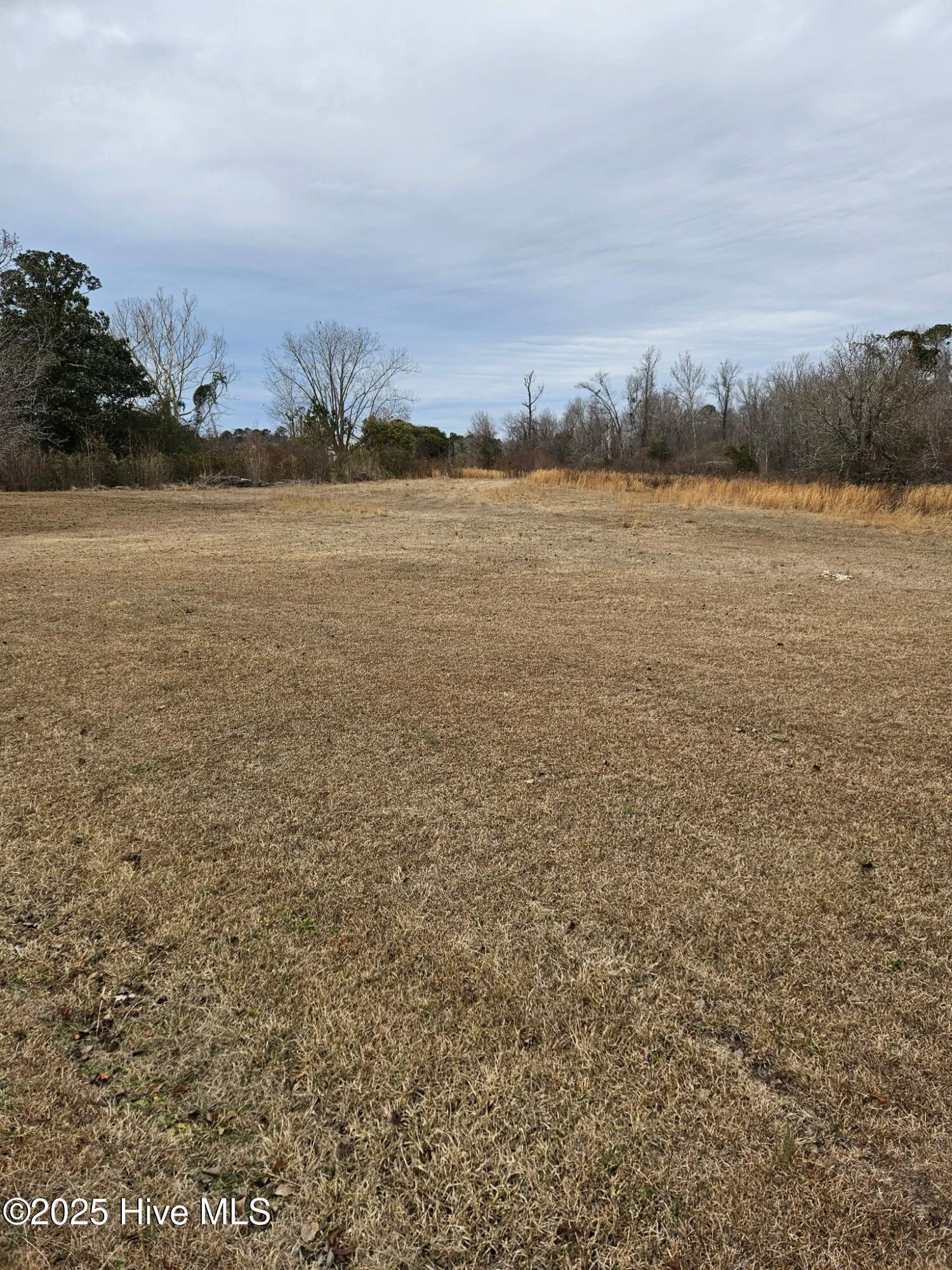 Rocky Point, North Carolina 28457, United States, ,Land,Pending,16137