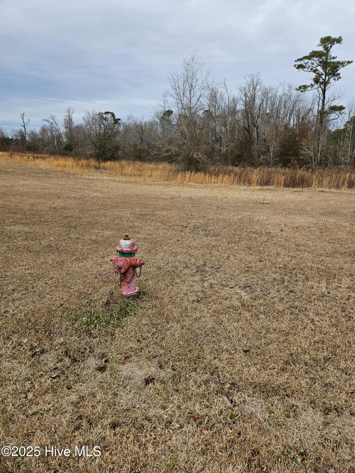 Rocky Point, North Carolina 28457, United States, ,Land,Pending,16137