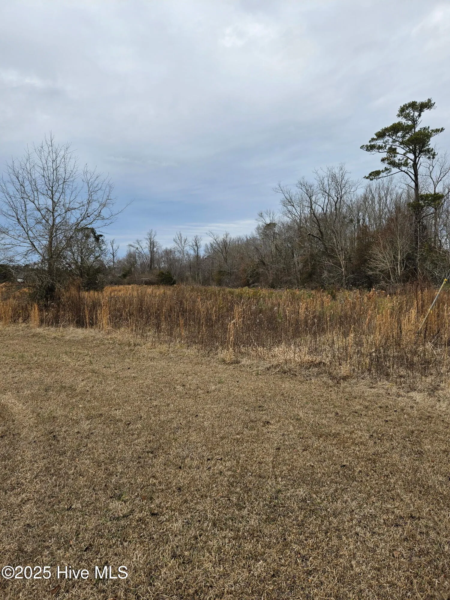 Rocky Point, North Carolina 28457, United States, ,Land,Pending,16137