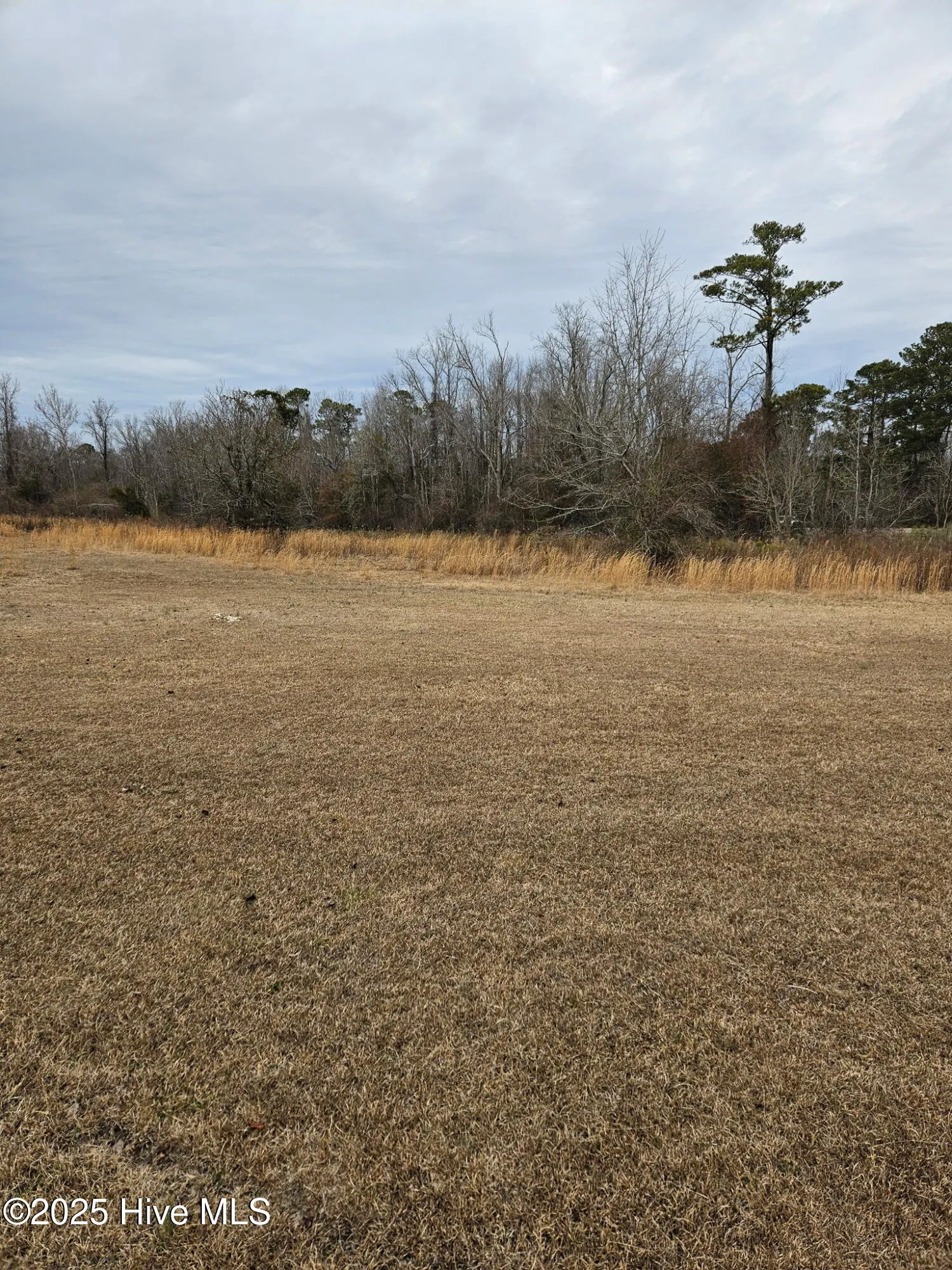 Rocky Point, North Carolina 28457, United States, ,Land,Pending,16137