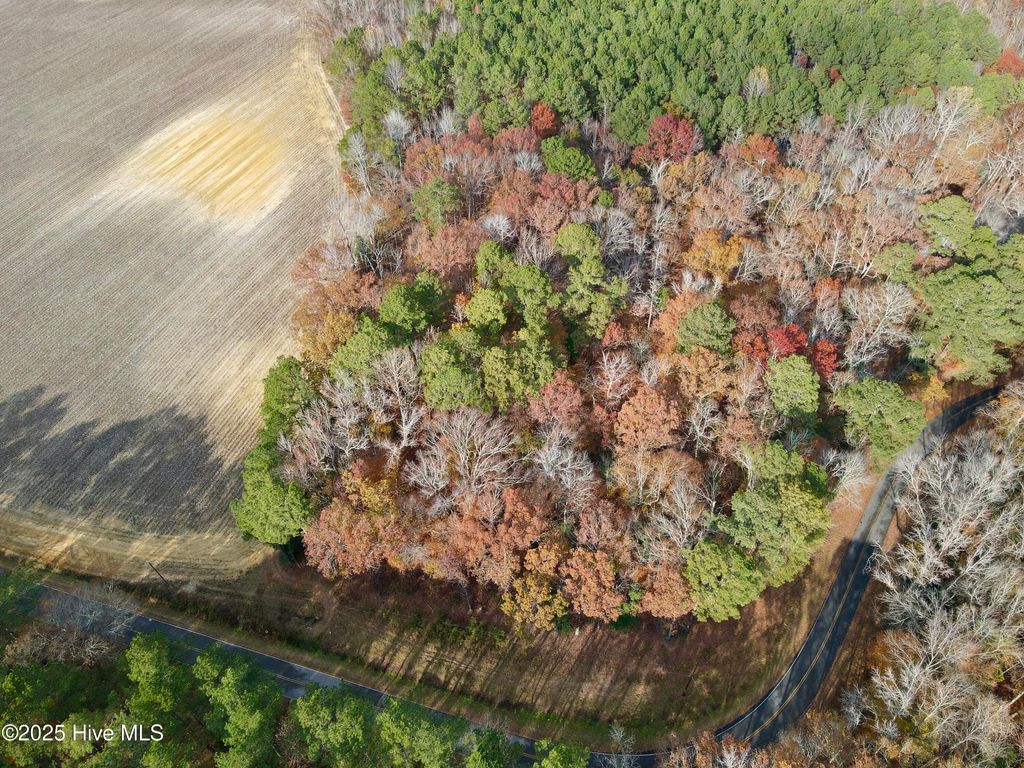 Photo of 0 Williams Road, Williamston, NC 27892 (MLS # 100543369)